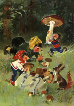 14448463_183.jpg