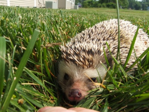 DSCF3074.jpg
