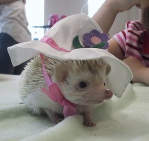 F000005.jpg