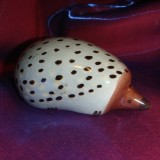 DSC00750