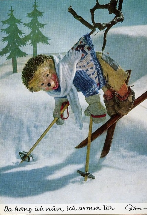 img095.jpg