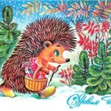 card_004