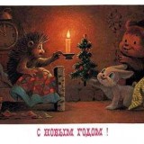 card_006