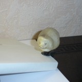 igrushka_dlya_elki