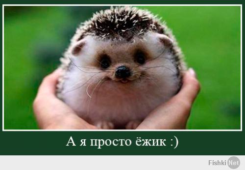 PROSTOEZIK.jpg